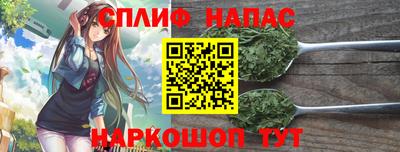 ECSTASY Будённовск
