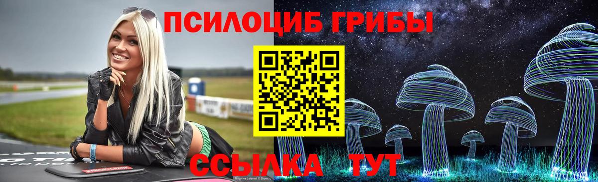 Псилоцибиновые грибы Psilocybine cubensis Шуя