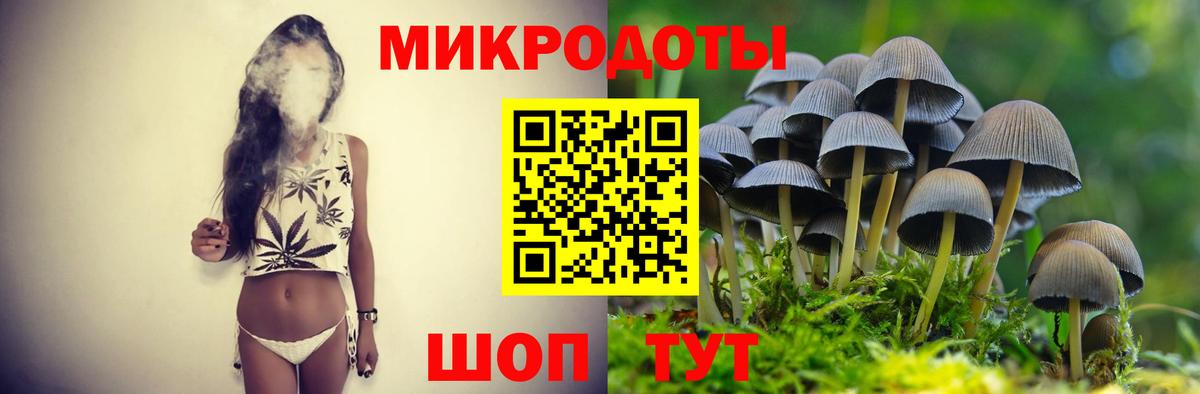 Шуя  Псилоцибиновые грибы прущие грибы  Вход с VPN 